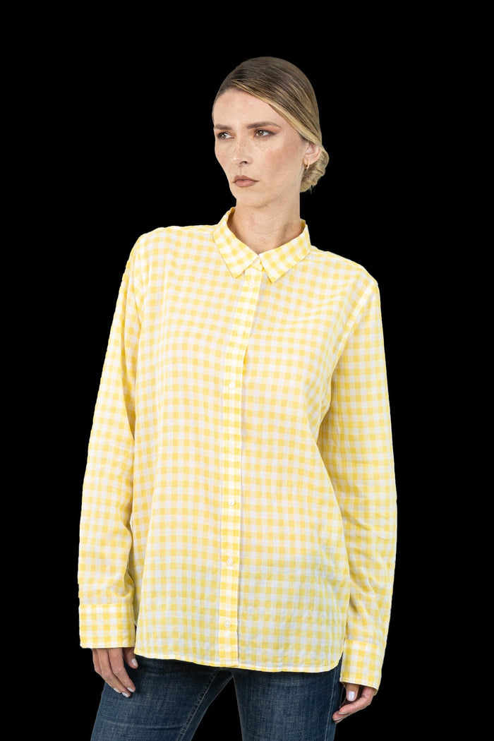 Camisa Bicolor Xadrez camisa importada J Crew
